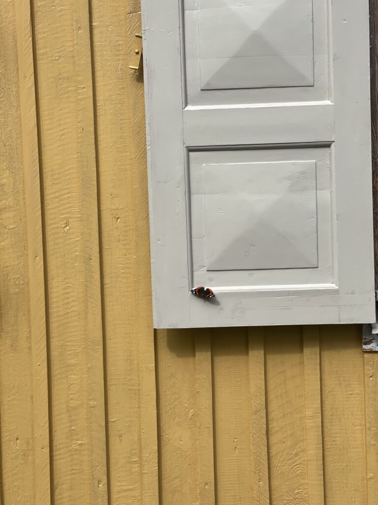 Fasadmålning på Solsidan, Saltsjöbaden