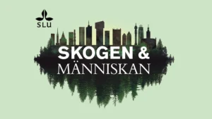 Skogen och människan